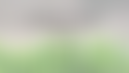 Top 5 Essentials for Spring