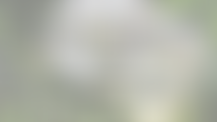 Turning Pages: My Spring Reading Recap