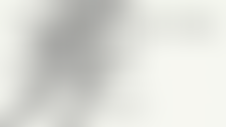 Looking Into The Past: World War II