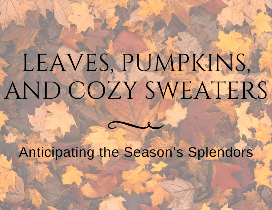 Leaves, Pumpkins, and Cozy Sweaters: Anticipating the Season's Splendors