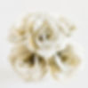 Book Page Flowers