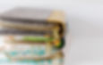 Zippered Book Clutch