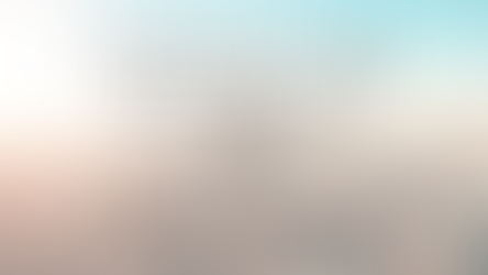 Cities in the Spotlight: New York City, USA