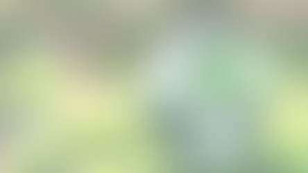 Earth Day Every Day: Ideas for Sustainable Living