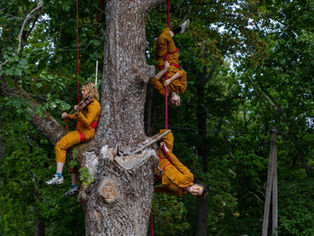 Introducing Ældre by ENT