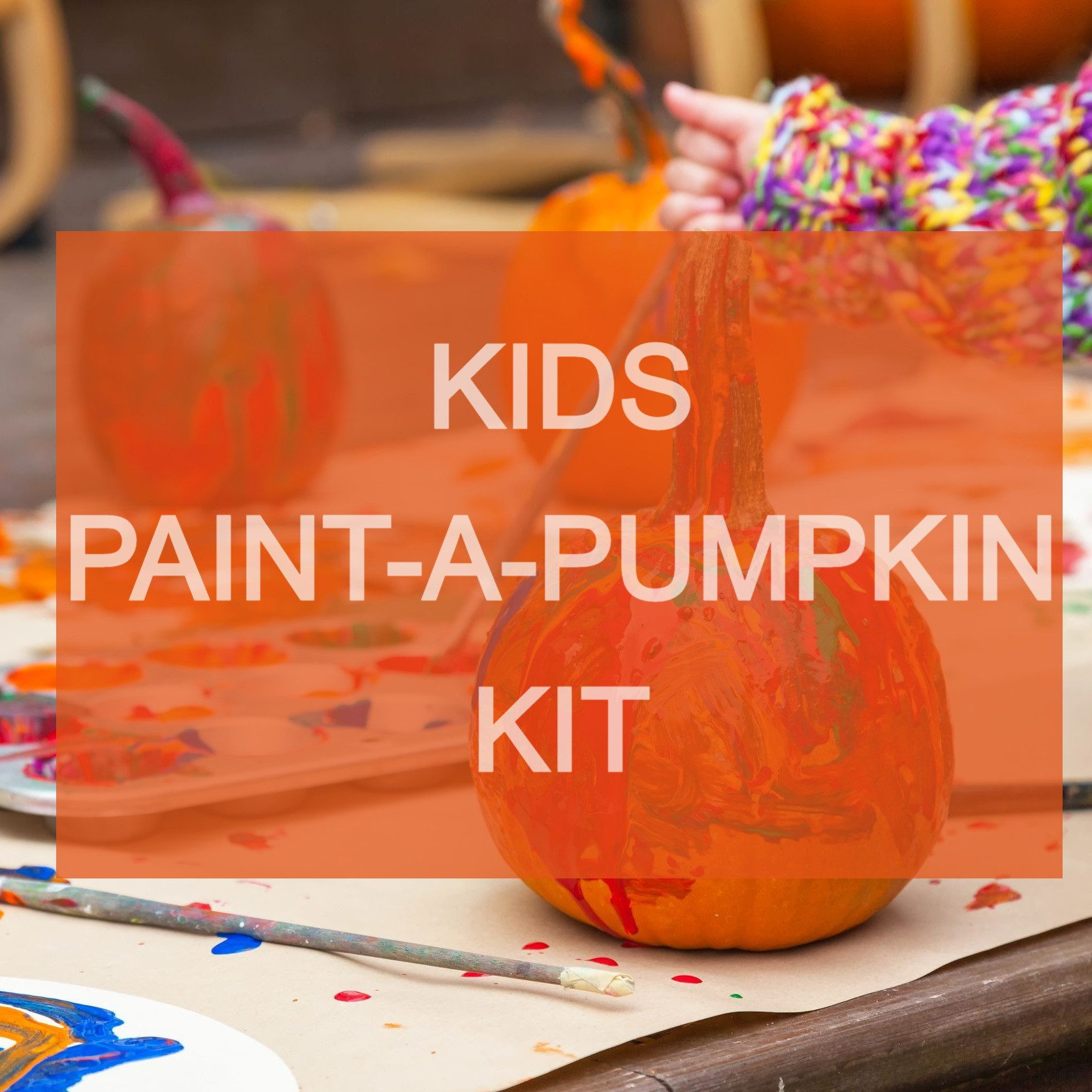 KIDS PAINT-A-PUMPKIN KIT