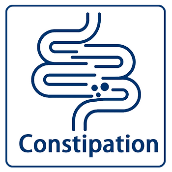 constipation relief, foods for constipation, natural remedies for constipation, high fiber diet, probiotics for constipation, prevent bloating, magnesium citrate benefits, gut health tips, improve bowel movement