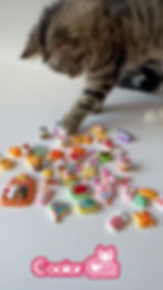 COOLORCAT Cute charms decoden