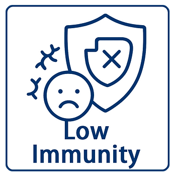 Ever feel like you’re the first to catch a cold in the office, or that small cuts take forever to heal? That might be your body’s way of telling you your immune system needs some TLC.