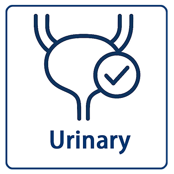 urinary health tips
natural urinary tract support
bladder health foods
supplements for urinary health
prevent urinary tract infections
pelvic floor exercises