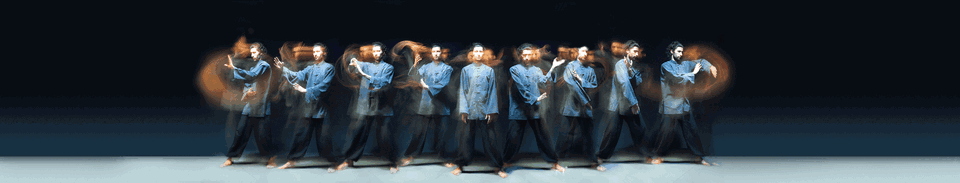 太极拳 Taichi.gif