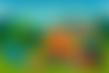 Don’t Miss These Must-Have Camping Essentials for a Perfect Family Trip This Summer