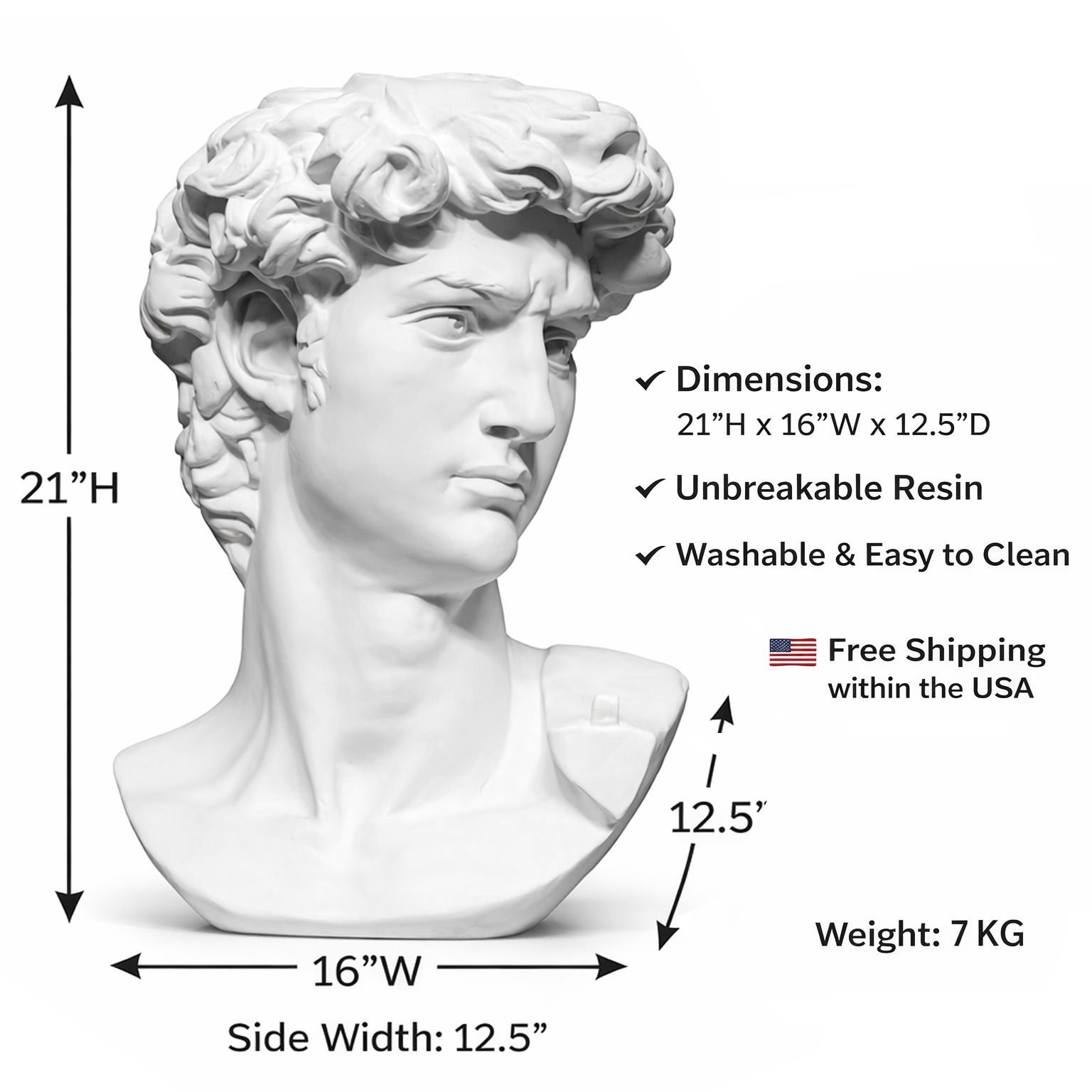 David Reduction Bust – 21 Inch Professional Resin Sculpture for Academic Drawing & Art Studios