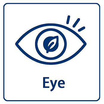 eye health tips
natural vision support
best foods for eye health
supplements for better eyesight
reduce eye strain naturally
exercises for eye health