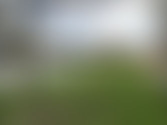 Grand plan d'eau de la Puye