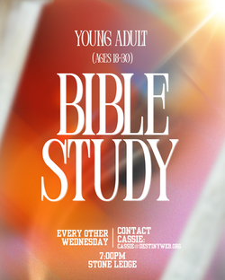 Young Adult Life Group