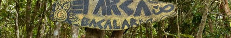 WhatsApp Image 2023-03-25 à 21.51_edited.jpg