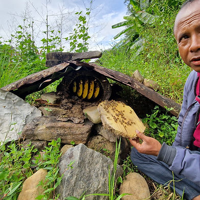 Demingstar RANI (Inde)