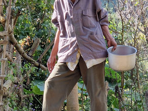 L’apiculture au Laos