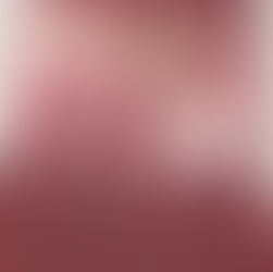 思い出あれこれとこれからに向けて