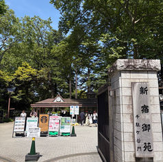癒しの庭園
