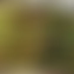 ちょっとした豊かさ🍁