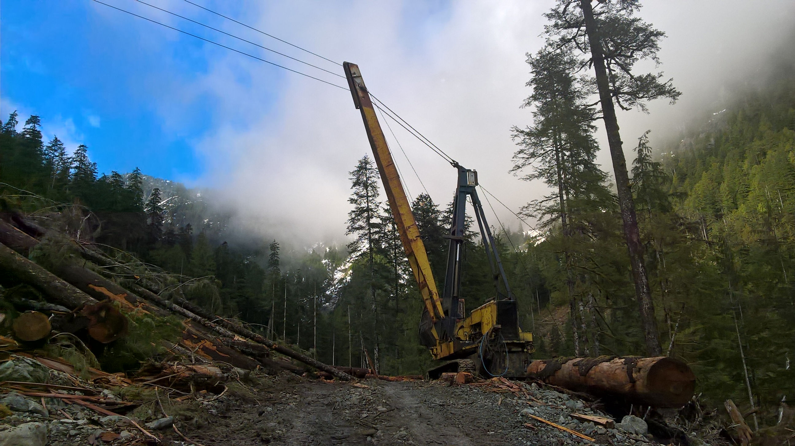 **New Pricing** 1975 Washington 78A Grapple Yarder