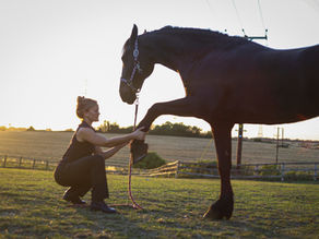 Nika with Horse 1
