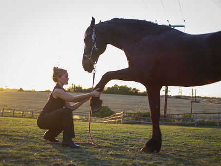 Nika with Horse 1