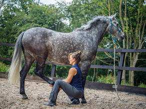 The Female Rider Code: Why Your Horse Needs You to Show Up First