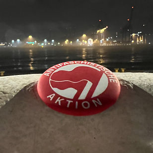 Antifa_Magnet.jpg