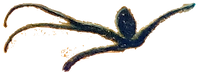detail1.png