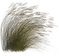 bush2.png