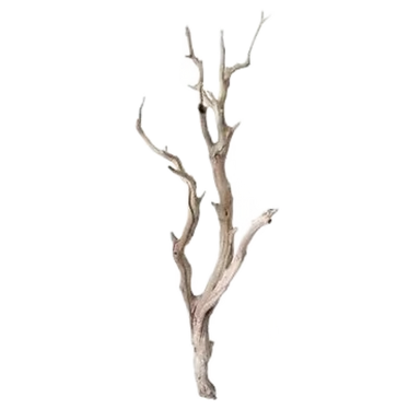 result (4).png