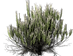 pngegg.png