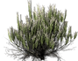 pngegg.png