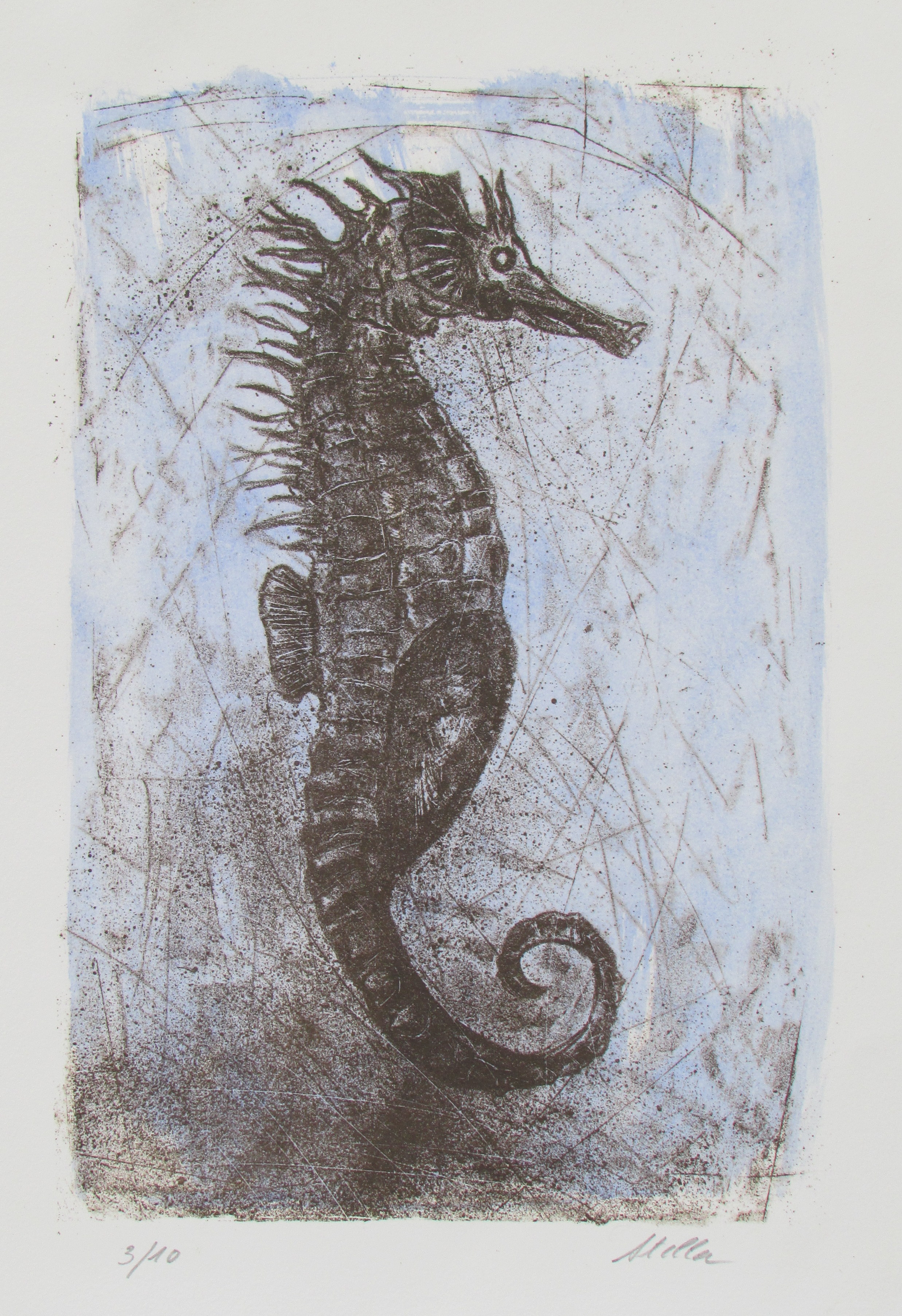 "Hippocampe 2"