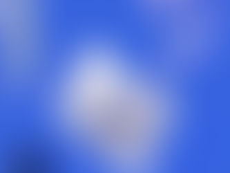 Book Publishers in Old Bridge Township, New Jersey