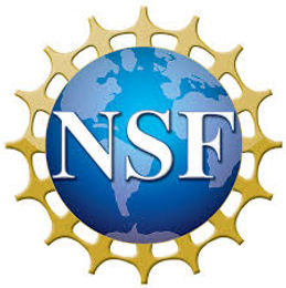 Dr. Chong received NSF Funding.