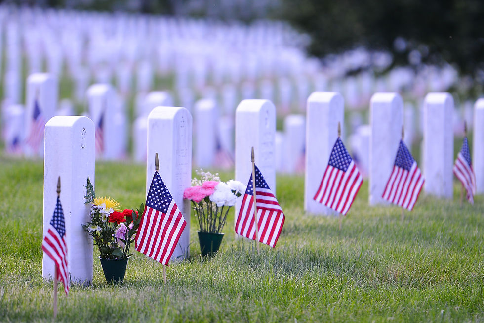 Arlington w_flags.jpg