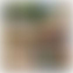 HOTELS FULL OF HISTORY...THIS IS ALSO CATALUNYA!