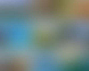 CHARMING COSTA BRAVA