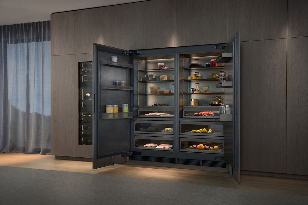 GAGGENAU_TWI_FRIGORIFICOS VARIO_EXPRESSIVE SERIE_01.jpg