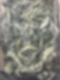 WhatsApp Image 2025-07-26 at 13.01.03.jpeg