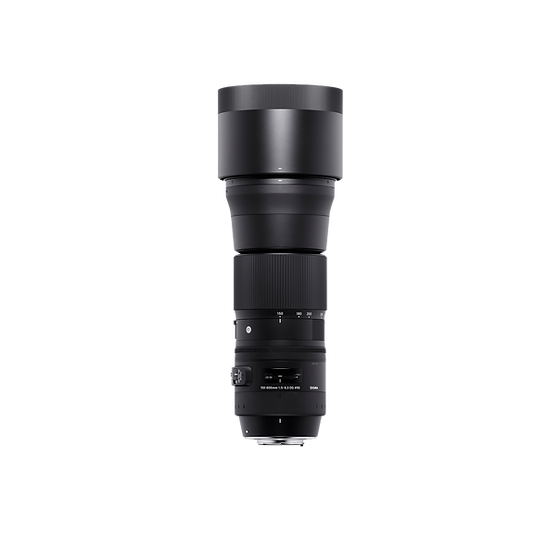 「SIGMA 150-600F5-6.3DG OS HSM/C 」 150-600mm F5-6.3 DG OS HSM | Contemporary | sigma-photo