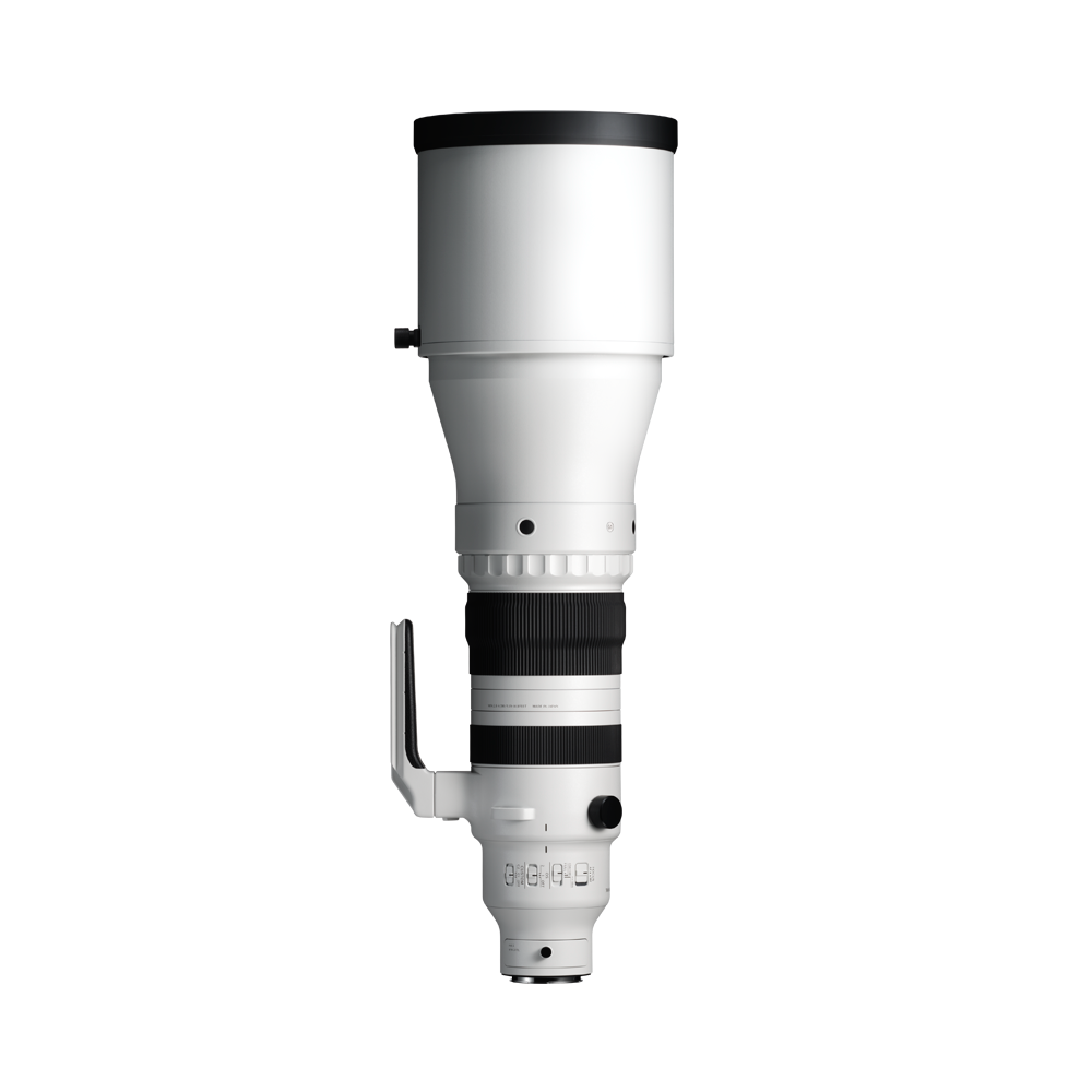 300-600mm F4 DG OS (SPORTS)