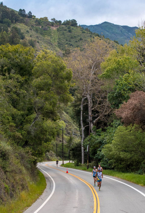 Big Sur Marathon leaders running under the stunning landscape and towering redwoods on Highway 1