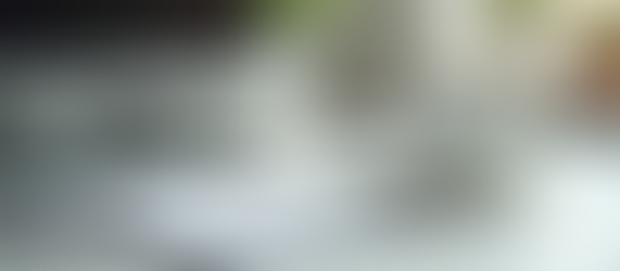 Mastering Flow: Strategies to Enhance Productivity in Daily Tasks