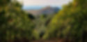 dobby_jona-sicily-8436305.jpg