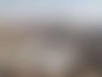 메카
